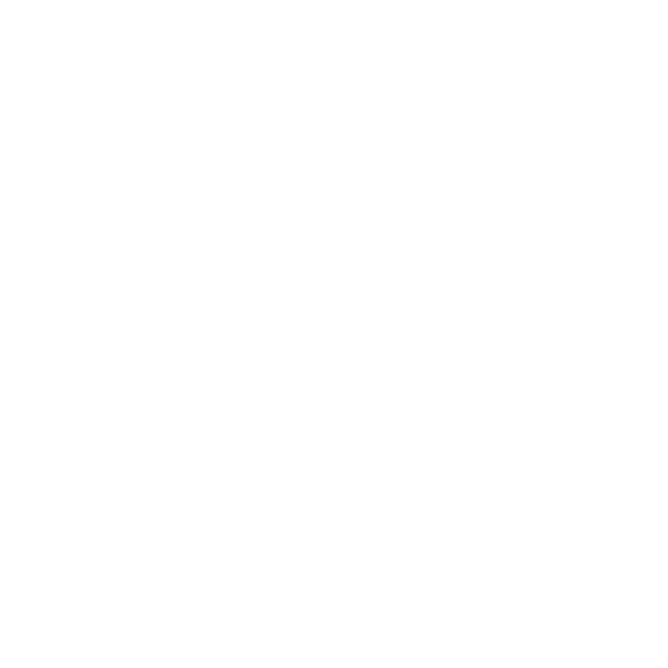 LEON